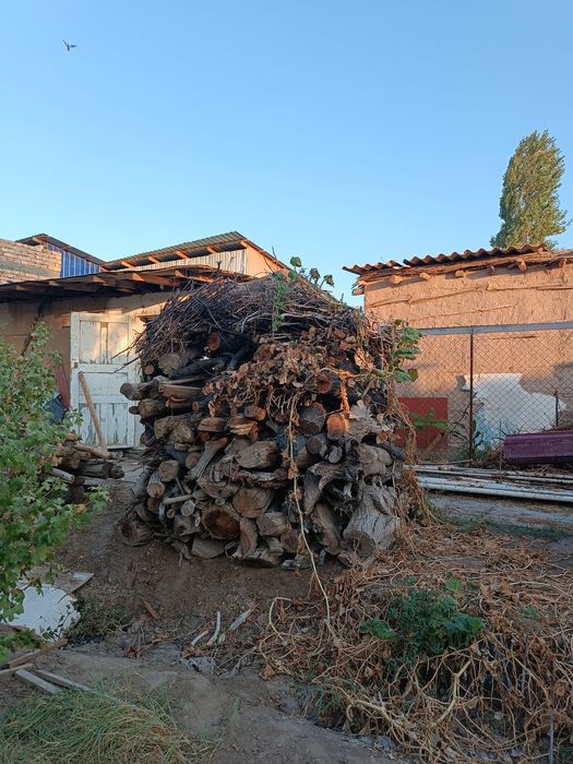 Отын сатылады бахасы келисимли