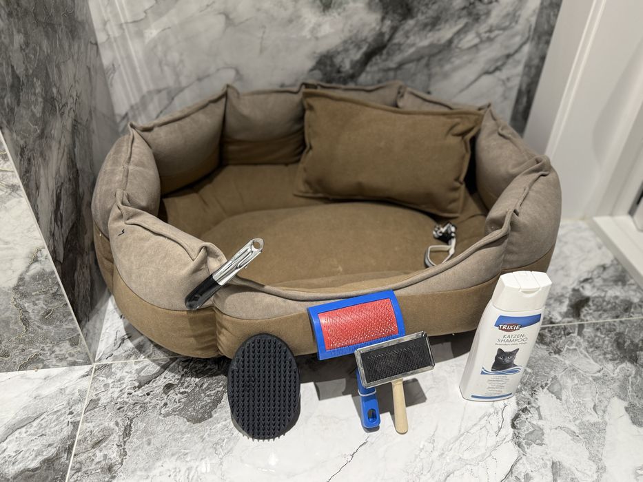 Scottish strait mushuk sotiladi.