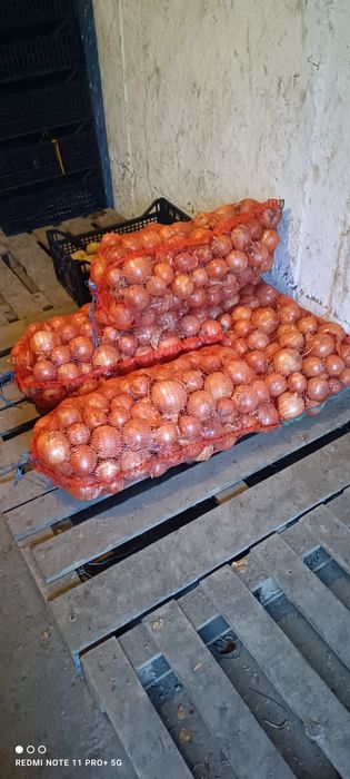 Vând ceapa 0.70 lei kg . Ceapa de calitate.