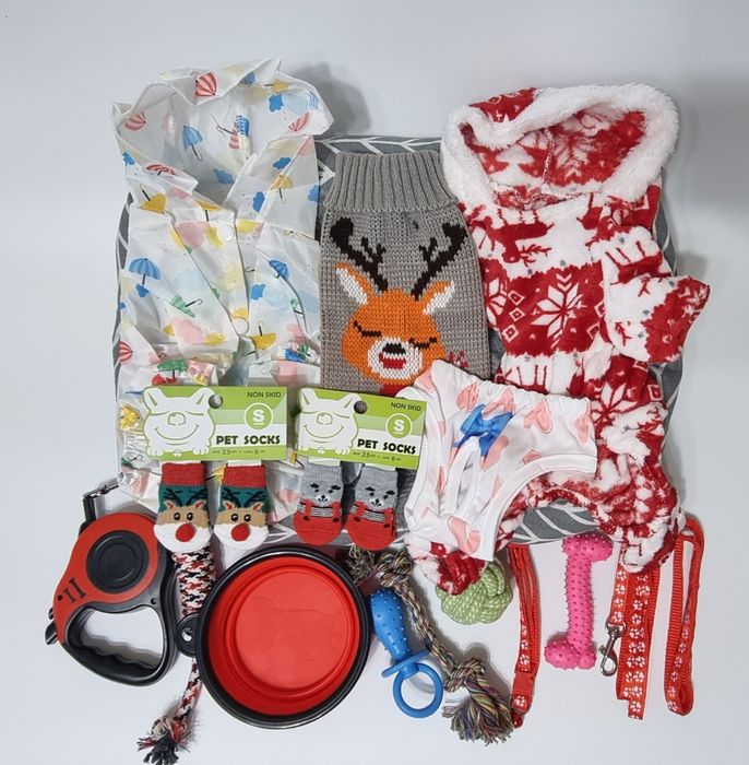 Набор для маленькой собачки