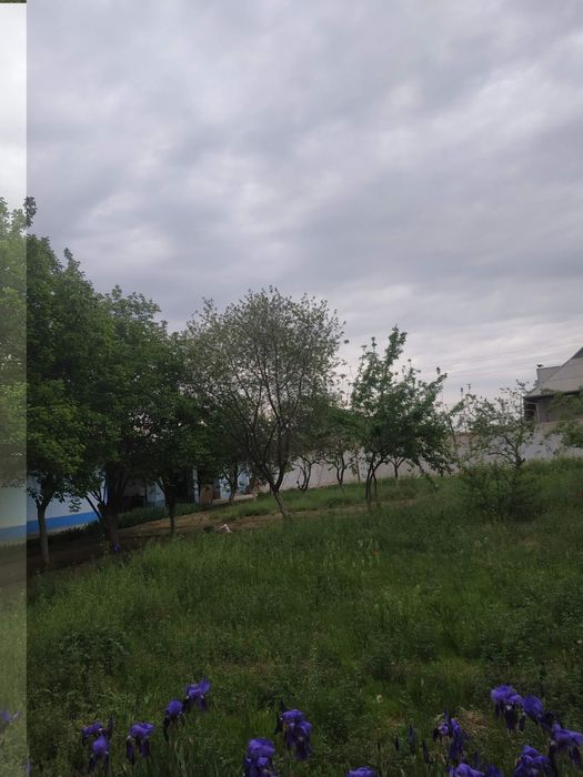 Qarshi shahrida 4 sutix Yer maydoni sotiladi