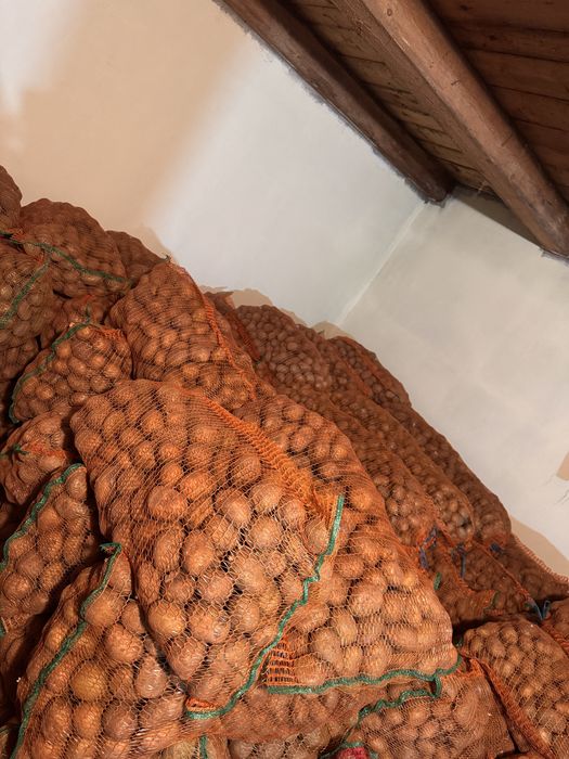 Cartifi consum și sămânță