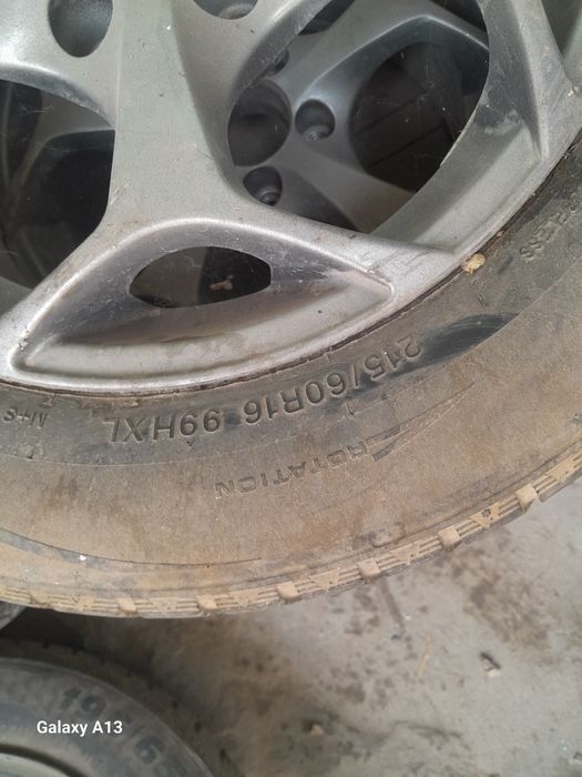 Зимни ризин с титанкои