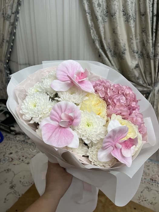 Цветы шарики свежый