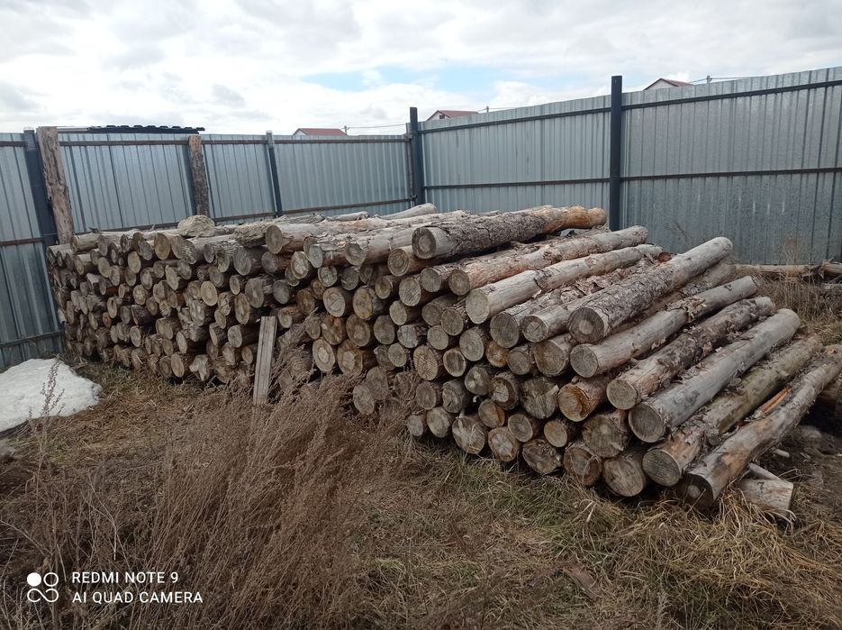 Продам бревна 155000
