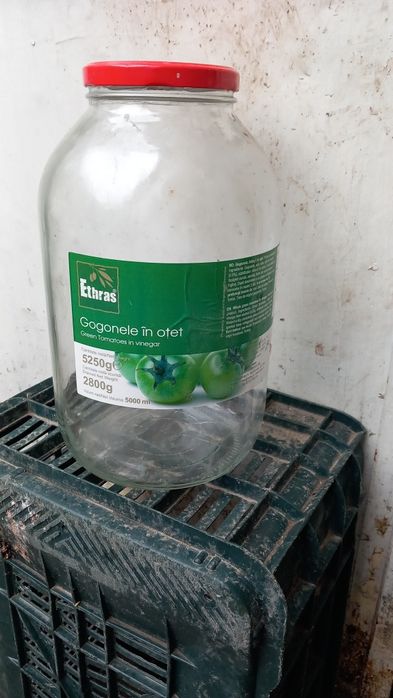 Vănd borcane mari de 4 și 5 litri