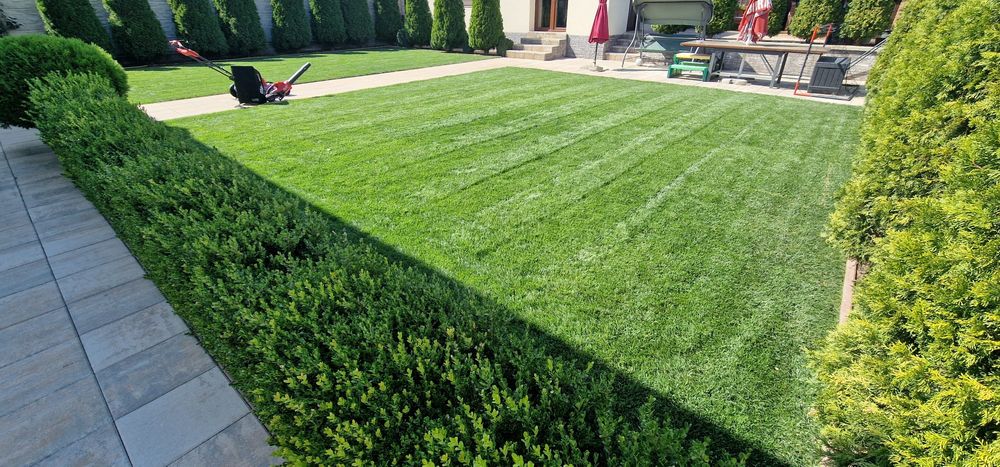 Casa an constructie 2017