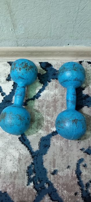 Veloseped Bonvi sotiladi