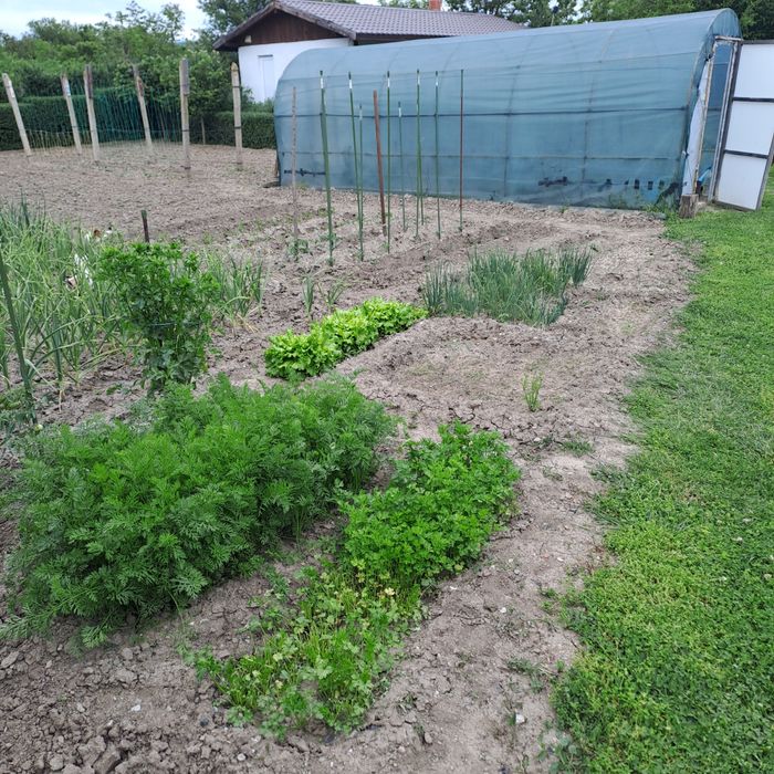 Продава се Къща в с. Лозенец, Област Ямбол - 130 кв.м за 302 €/кв.м - Снимка #13