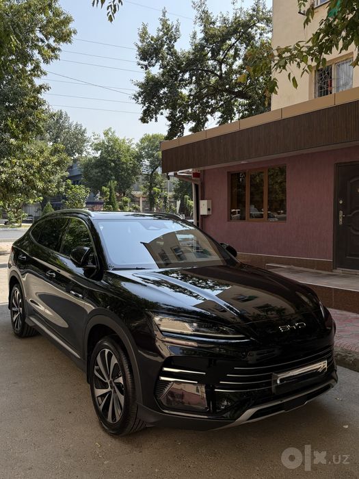 Byd chempiyon 150 tali