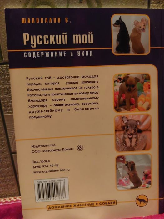 Русский  той терьер  порода