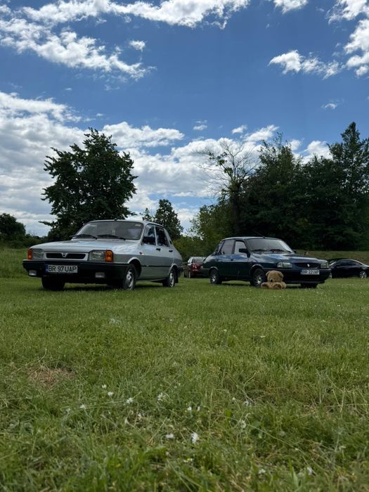 Dacia 1310 injecție