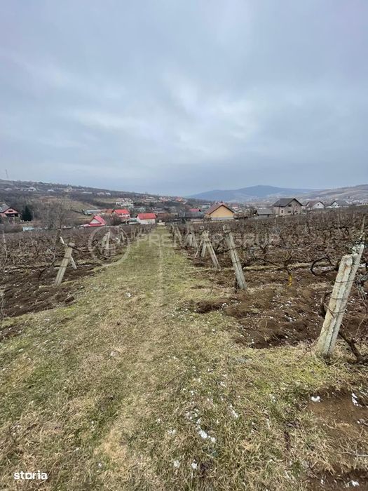 Teren ideal pentru dezvoltare 4.209mp, Chicerea, Comuna Tomești