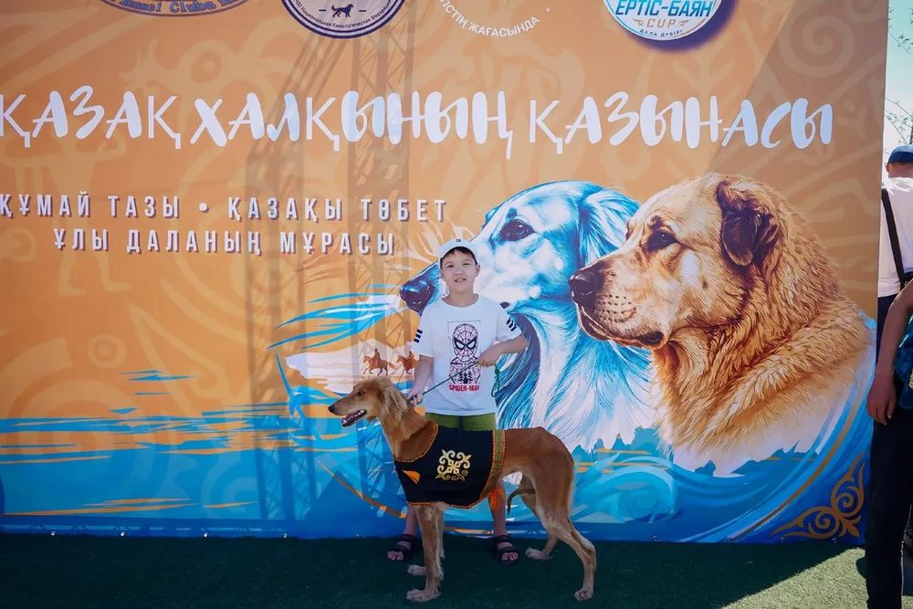Продам тазы сучка