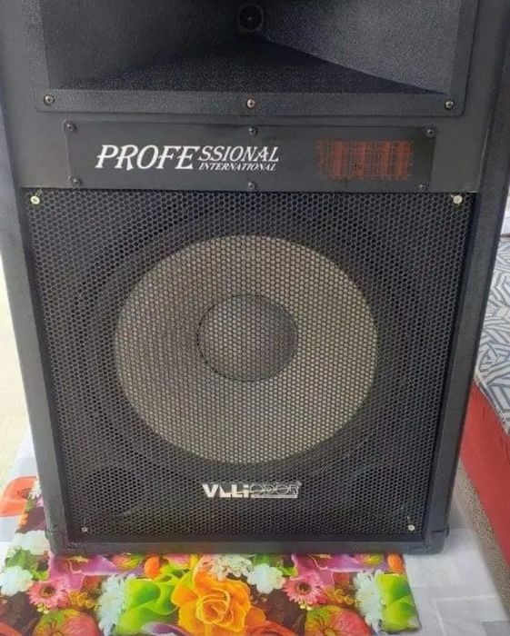 Boxa Pasivă 300 W