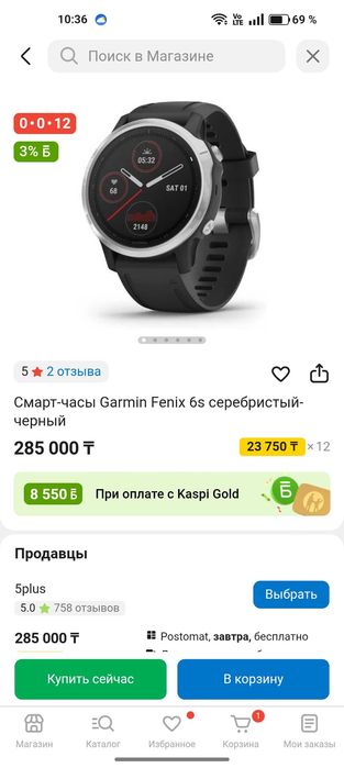 Часы Garmin Fenix 6S