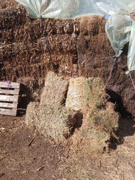 Vand baloti de lucerna