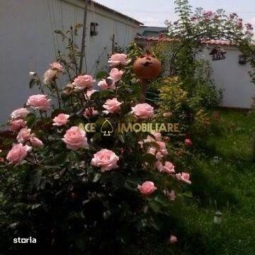 Casa 6 Camere de vanzare | Ilfov | Rosu | Gradina | Curte proprie