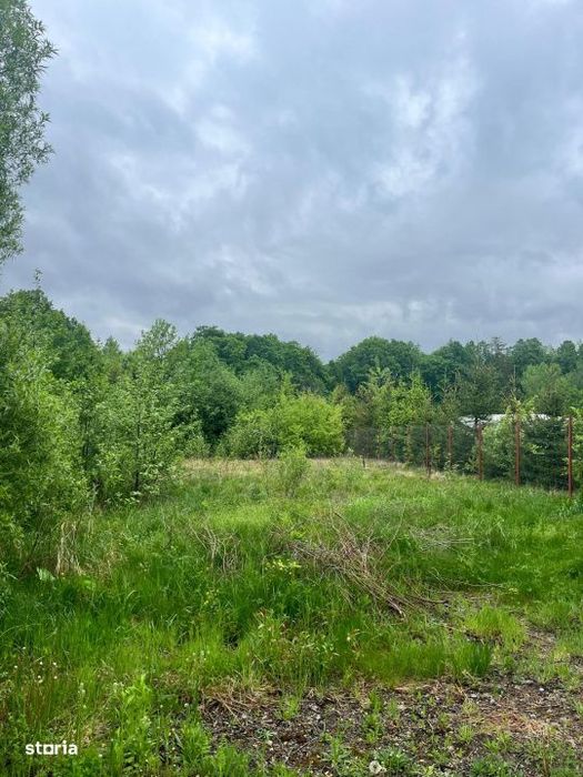 Teren intravilan, 2300mp, zona Hardic, Horodnic de Sus, Radauti