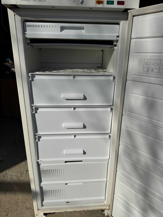 Вертикален фризер Snaige