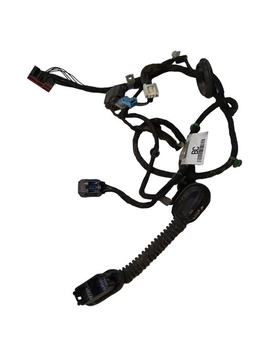 Instalatie Electrica Usa Dreapta Spate Land Rover Range Rover Evoque