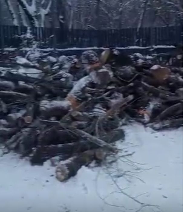 Продам карагач сухой распиленый