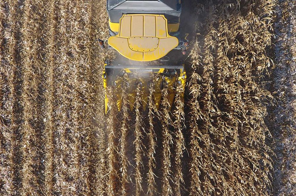 Кукурузная жатка HARMAK Турция