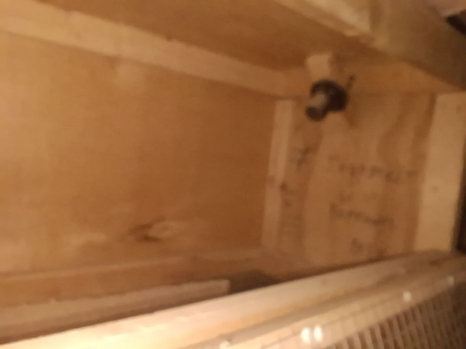 Брудер балапандарға