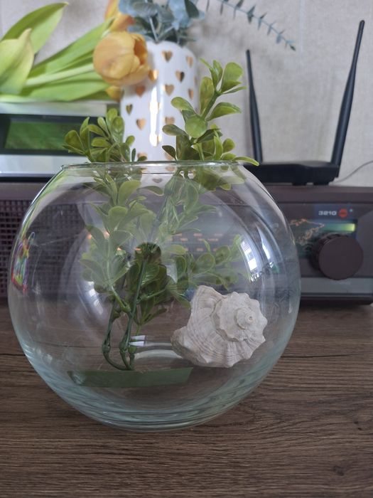 Bol de sticla pentru pești.