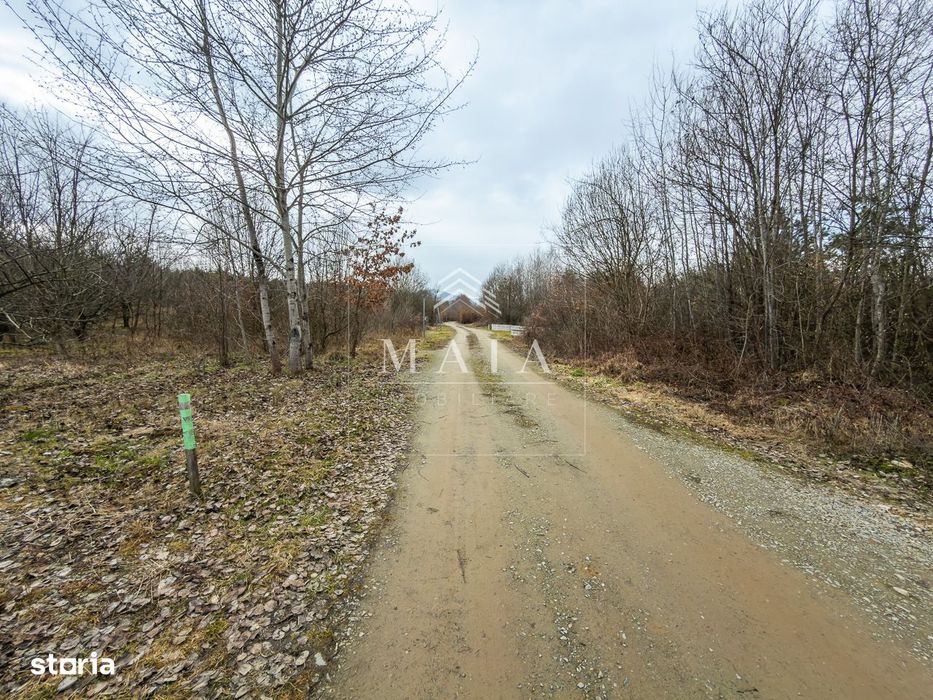 Teren extravilan 2200 mp, zona Calea Poplăcii, la 5 min de Valea Aurie