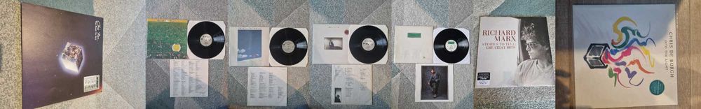 Disc vinil-Guns N' Roses,Skid Row,Linkin Park,Metallica,Pink Floyd,U2