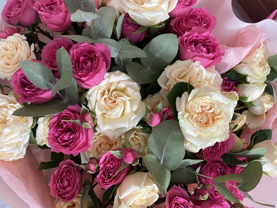 Продам цветы. Свежие.