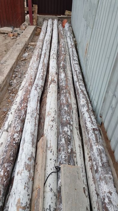 Бөрене, ұзындығы 6 метр