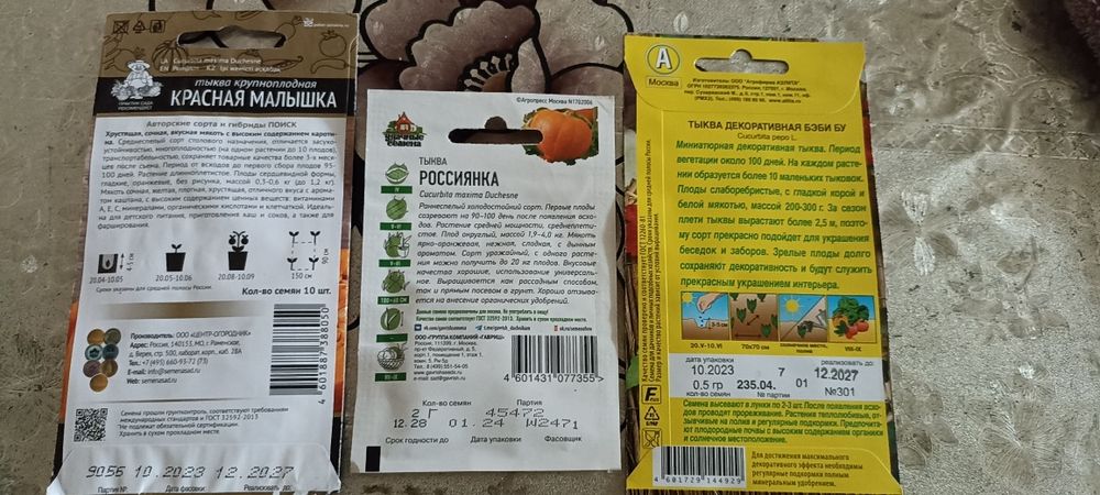 Семена тиквы. Разных сортов.