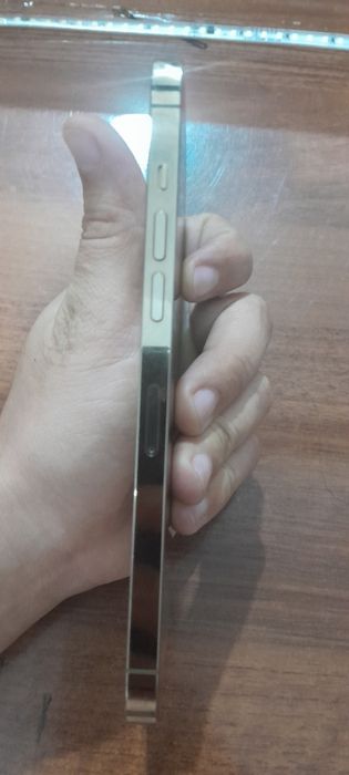 iphone 12 pro max icloudga tushgan