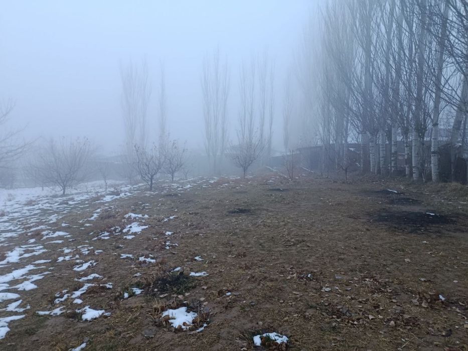 yer sotiladi 10 sotix