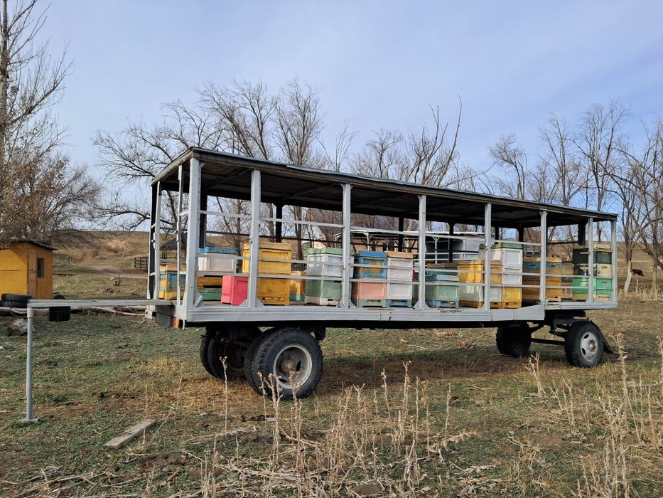 Продам прицеп-скотовоз, пчеловоз