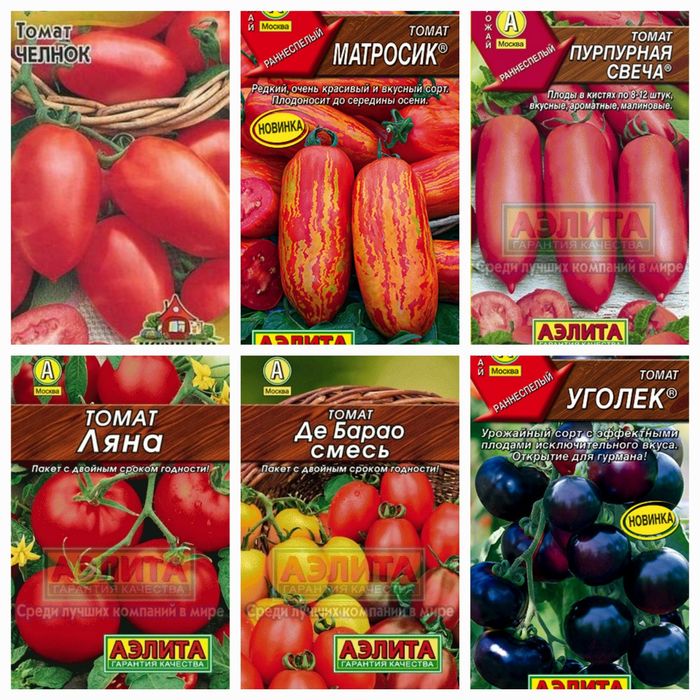 Рассада овощей и цветов