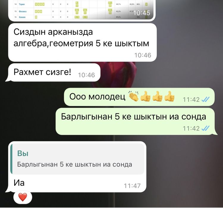 Репетитор по математике