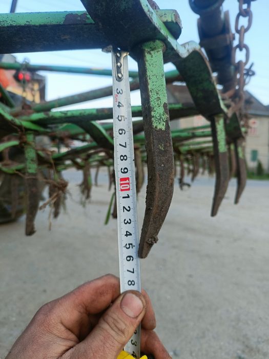 Grape cu colți în stare bună