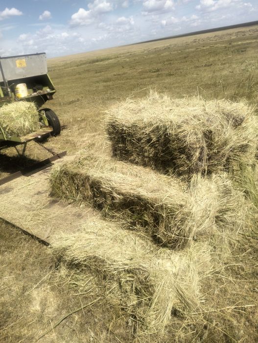 Продам сено тюки