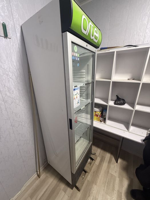 Artel morozelka yangi