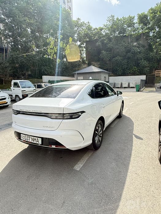 BYD CHAZOR 2024 55km