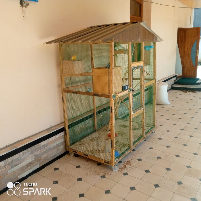 Valer. Qushlari bilan