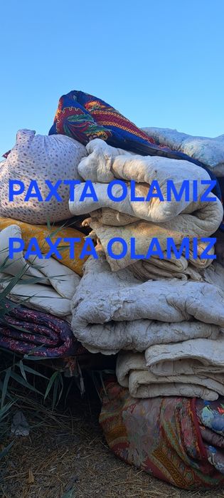 Musr stroy musr chiqindi  Вивоз Мусра