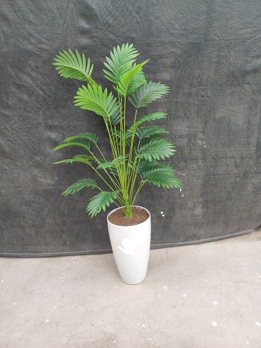 Искусственный  палма