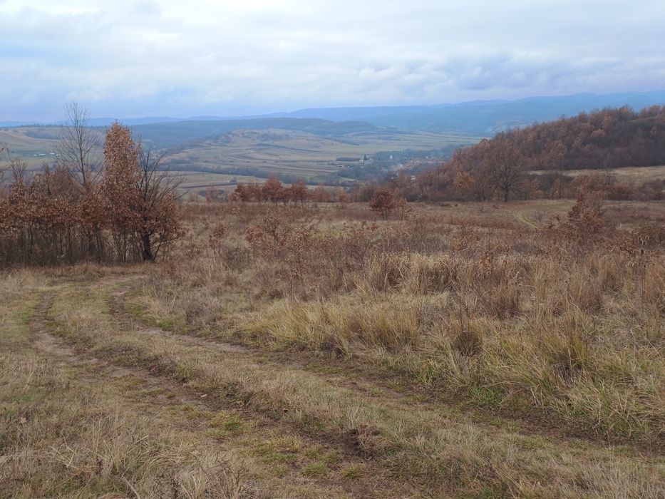 Parcele Pădure 20 000 Mp,Josani/Nandru , com.Pestisu Mic