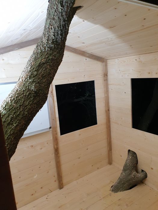 Tâmplar/parchetar cu experiență