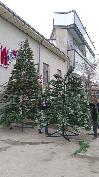 Archa 5-metr yangi 2025