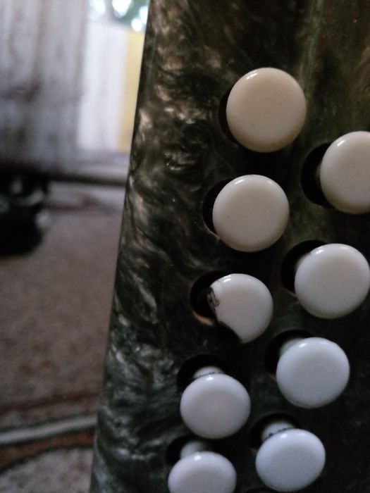 Гармонь раритет 1960 годов